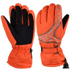 Ski Gloves