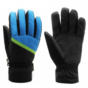 Ski Gloves