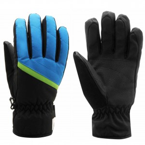Ski Gloves