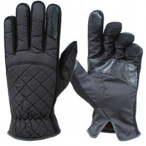 Ski Gloves