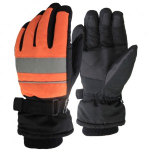 Ski Gloves