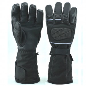 Ski Gloves