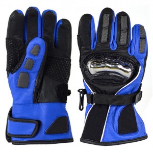 Ski Gloves