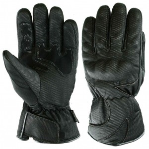 Ski Gloves