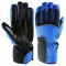 Ski Gloves Men