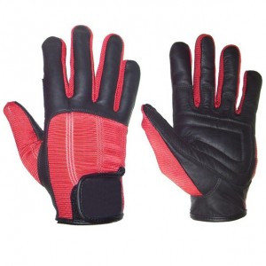 Weight Lifting Gloves