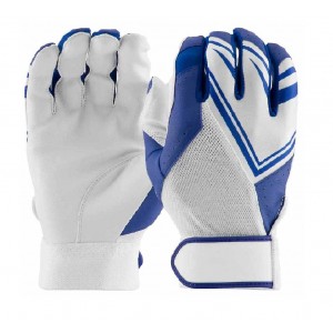 Best Youth Baseball Batting Gloves