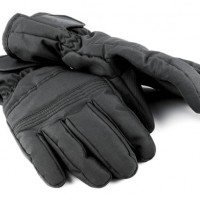 Snow Park gloves