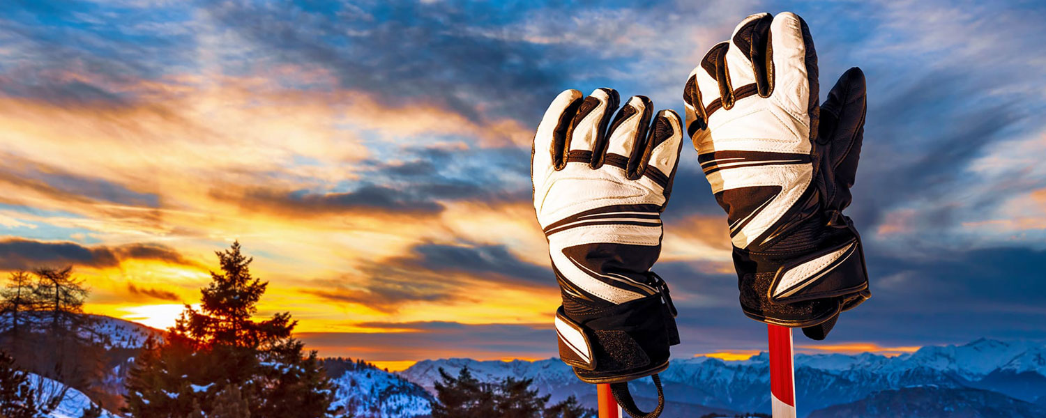 Ski Gloves